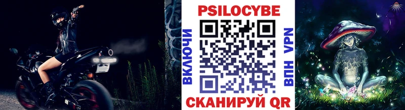 Купить  Зима  Галлюциногенные грибы мухоморы 